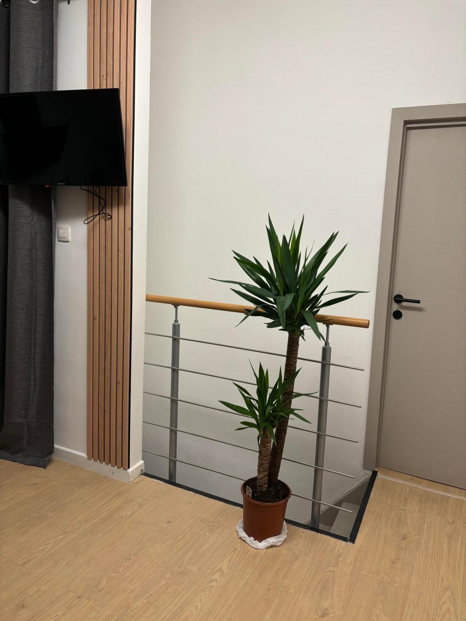 Ubuntu House - Charleroi Apartment Bagian luar foto